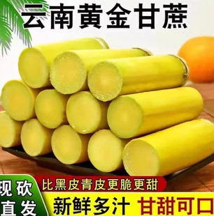 云南脆皮黄金甘蔗9斤一级甘蔗现砍黄皮新鲜应季 水果甘蔗孕妇脆