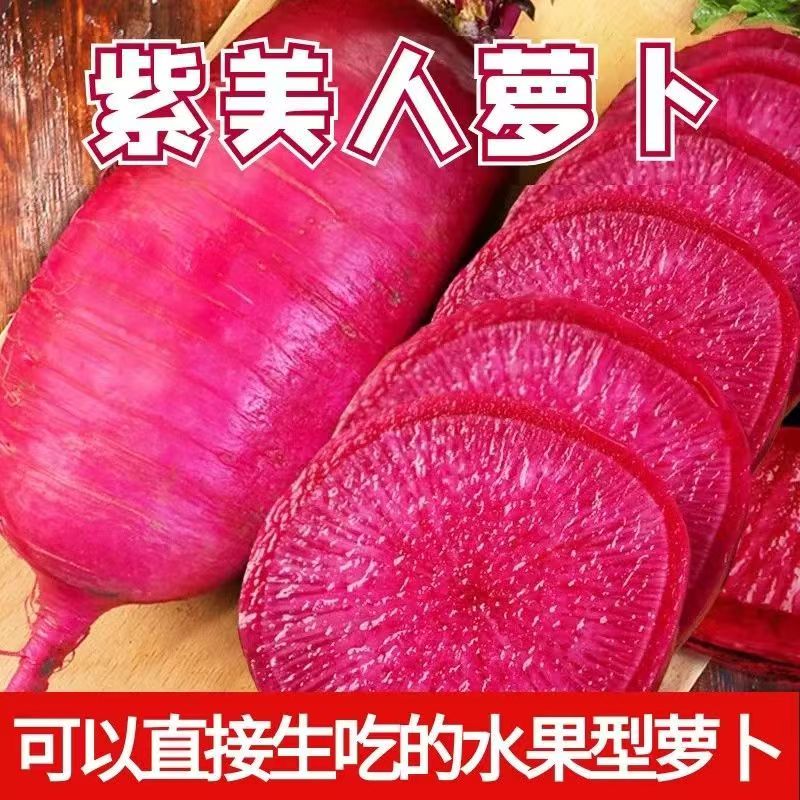 正宗潍坊紫美人水果萝卜甜脆水果型红皮凤梨心里美萝卜新鲜现挖