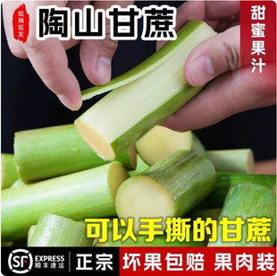 顺丰正宗陶山甘蔗青皮绿皮一节去节现砍现发当季新鲜水果手剥果蔗