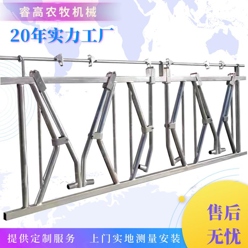 新款牛颈枷自锁式热镀锌采食围栏牛颈夹养殖场牛场设备厂家直销