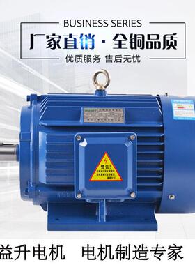 厂家YE3-132M-47.5W国标铜芯2900/1450/950转效节能马达