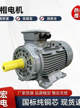 三相异步电动机11W/18.5W2极380V2900转国标全铜电动机