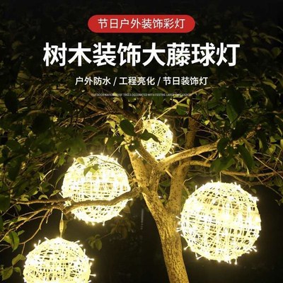 led藤球灯街道节日装饰挂灯户外庭院防水工程亮化挂树彩灯圆球灯