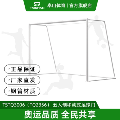 泰山体育五人制移动式足球门
