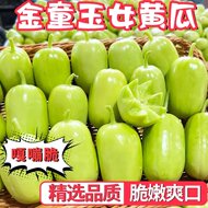 玉女黄瓜皮薄脆甜多汁水果小黄瓜山东寿光青瓜蔬菜