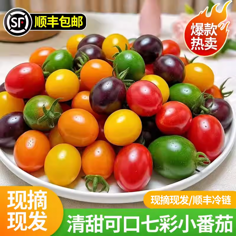 山东七彩小番茄新鲜现摘现发彩色小柿子清甜多汁圣女果混合装水果