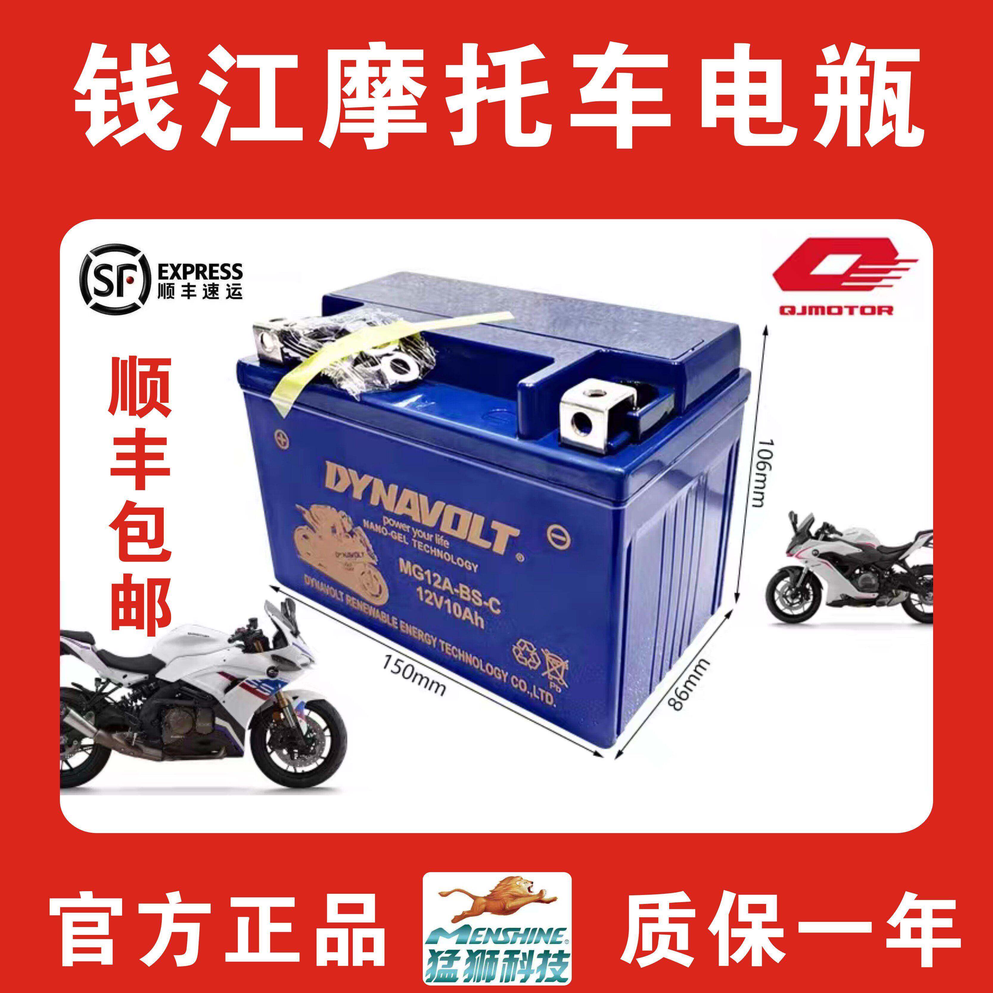 钱江摩托车猛狮原厂电瓶赛600闪300追250 450 550 12v通用蓄电池