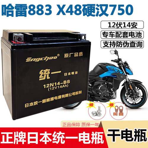 摩托车12v14A免维护干电池YTX14-BS哈雷883电瓶x48硬汉750免维护