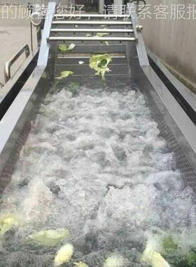 全自动高果机蔬气泡清洗 苹玉果米大枣压AQH喷淋清洗机 净菜加工