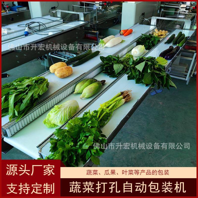 供应蔬菜自动包装机保鲜蔬菜自动打包机新鲜瓜果青菜包装机械