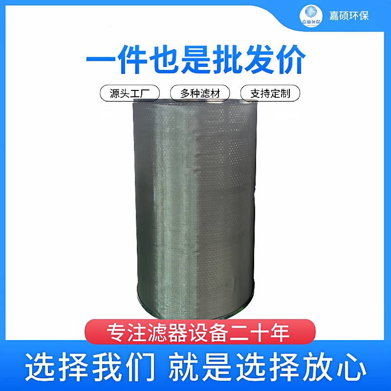 -SDGLQ-100T-100K双筒过滤器用滤网式滤芯