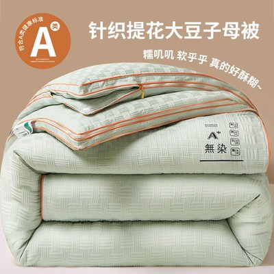 A类大豆纤维子母被二合一拉链款被子加厚保暖冬被学生宿舍棉被芯