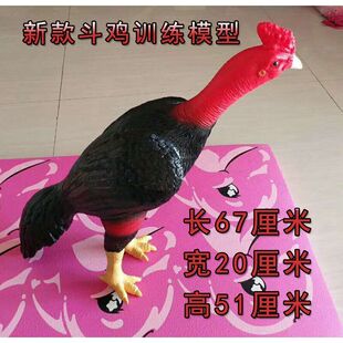 斗鸡 斗鸡用品 斗鸡训练用品 斗C鸡模型 斗鸡比赛模型鸡斗鸡 假鸡