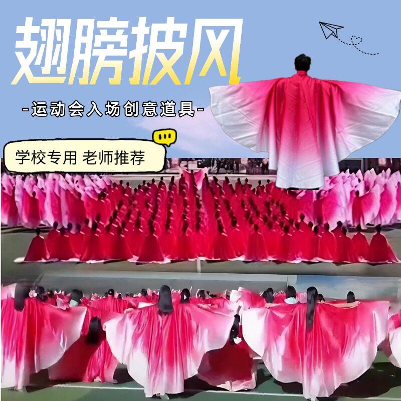 运动会入场开幕式道具翅