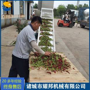 全自动辣椒风选机辣椒筛选清洗设备中药材杂物分选除杂去石机