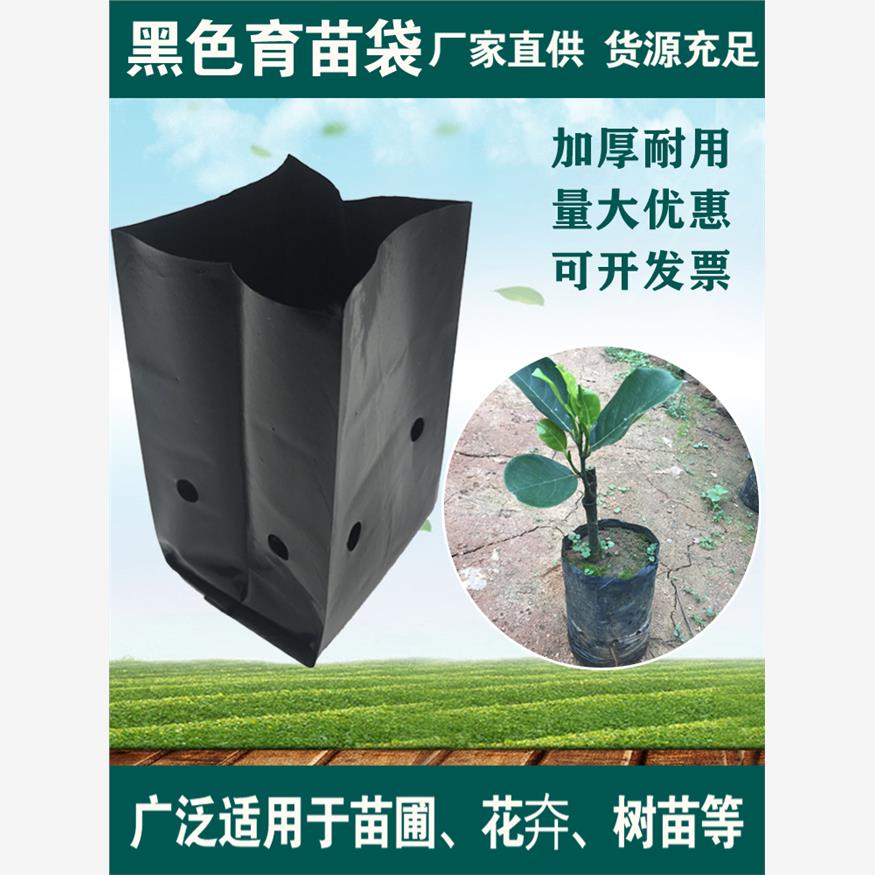 黑色育苗袋加厚育苗袋营养钵塑料营养袋树苗专用一次性种植神器