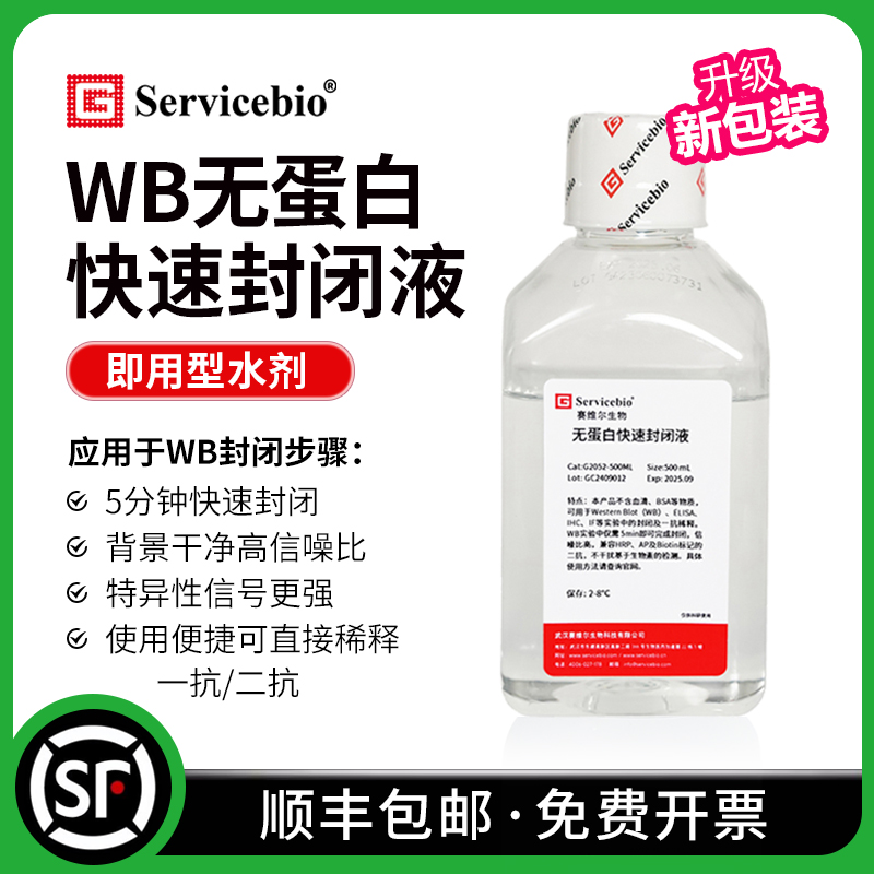 WB无蛋白快速封闭液一抗