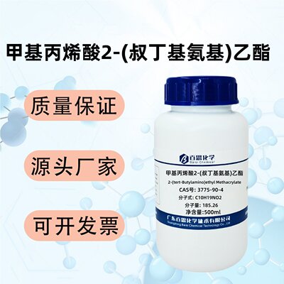 甲基丙烯酸2-(叔丁基氨基