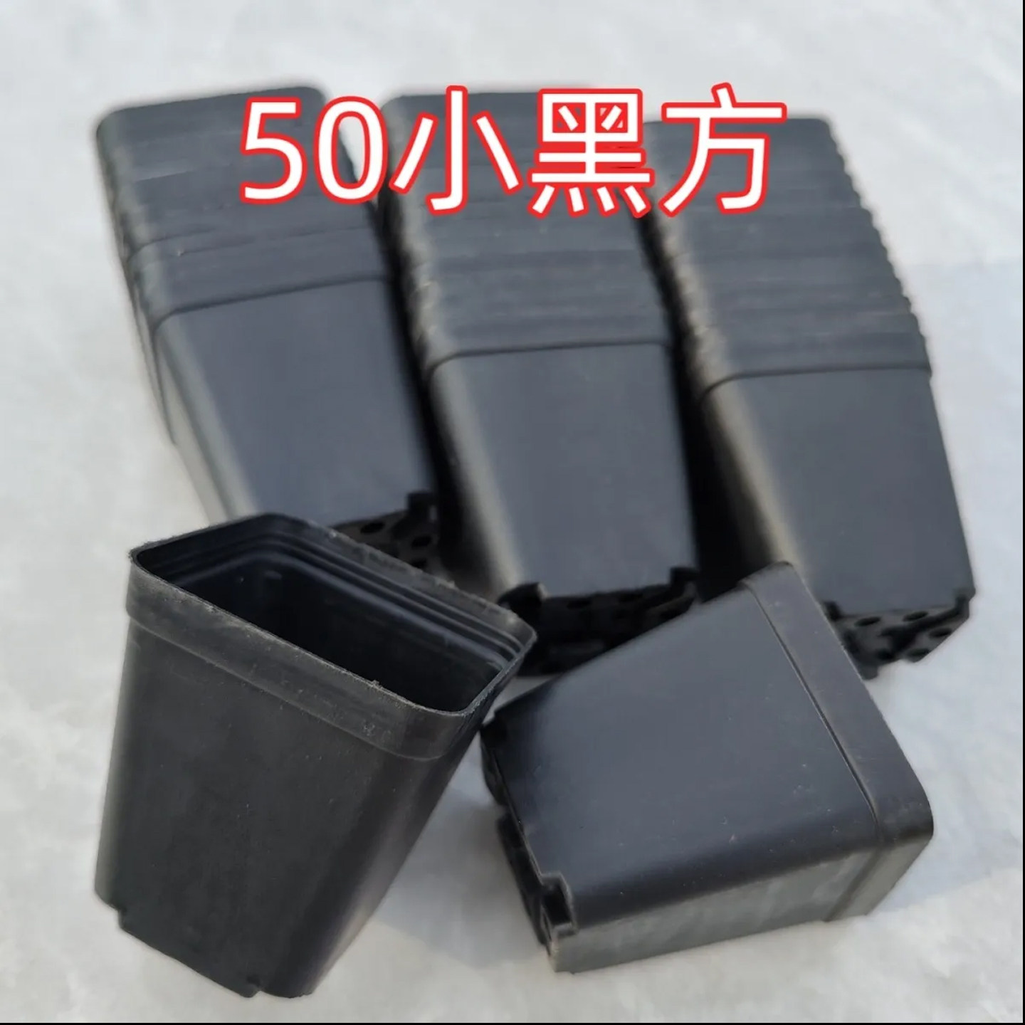 小黑方/多肉植物小方盆塑料花盆育苗盆营养钵方盒万象盆方形