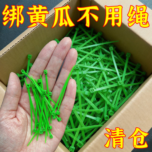 小扎带迷你小扎带尼龙扎带10厘米/公分扎线理线1000条园艺国标