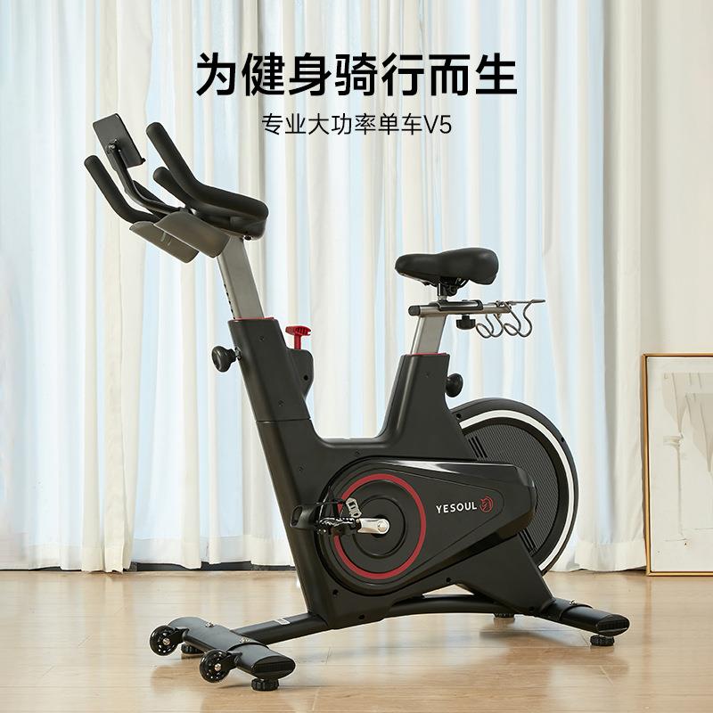 电磁控动感单车家用静音运动自行车室内锻炼健身车单车V1