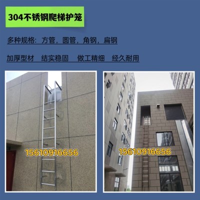 304不锈钢爬梯水池爬梯护t笼室外爬D梯护笼316不锈钢爬梯泳池爬梯