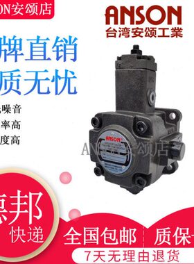 55NS40//P A/-70颂 / -30F-35 变V11S量10台湾叶片泵 SON 安10