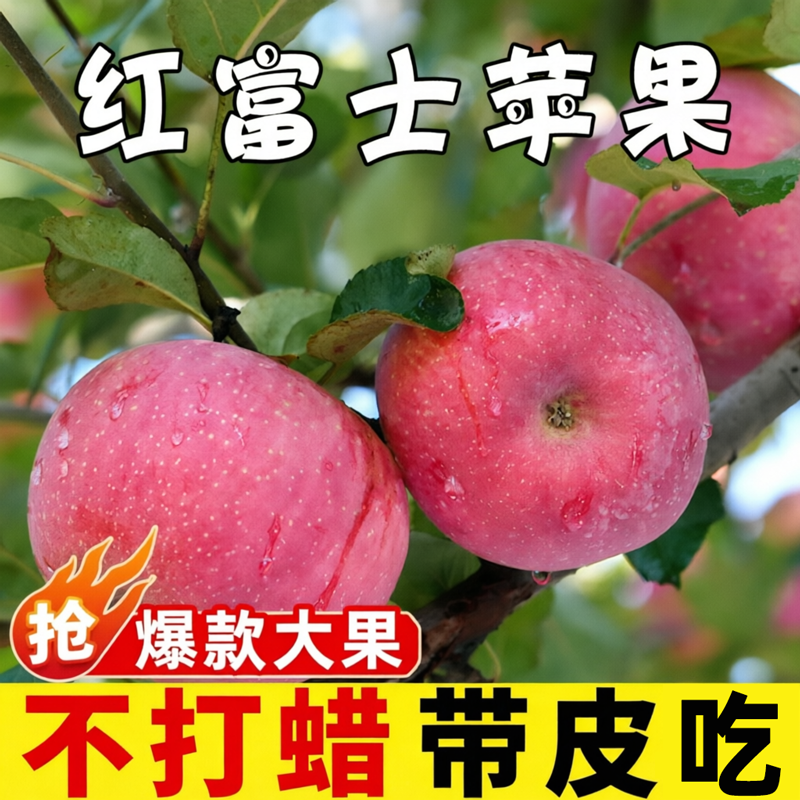 山东红富士苹果脆甜多汁新鲜水果整箱应当季苹果脆甜时令平果烟台
