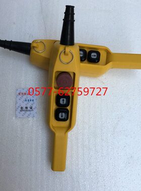 防雨G1SQYQ61G手电电动葫芦61行车A1-手柄-A1型双开关按钮速Y门