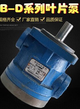 B Y中DB-BB25压-BBD-Y16- Y-.20 Y Y叶片泵D-2D3D3 YD-1012DB Y6