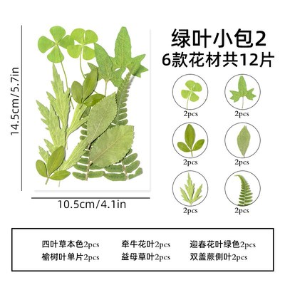 树叶手工粘贴画成品真树叶子植z物标本幼儿园树叶手工贴画干花压
