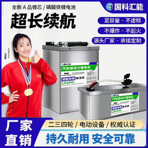 二轮车三轮车大容量磷酸铁锂电池