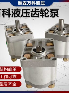 齿轮泵 液压油泵CBT-F310 F314 F306 F320 F325 F316淮安万科液压