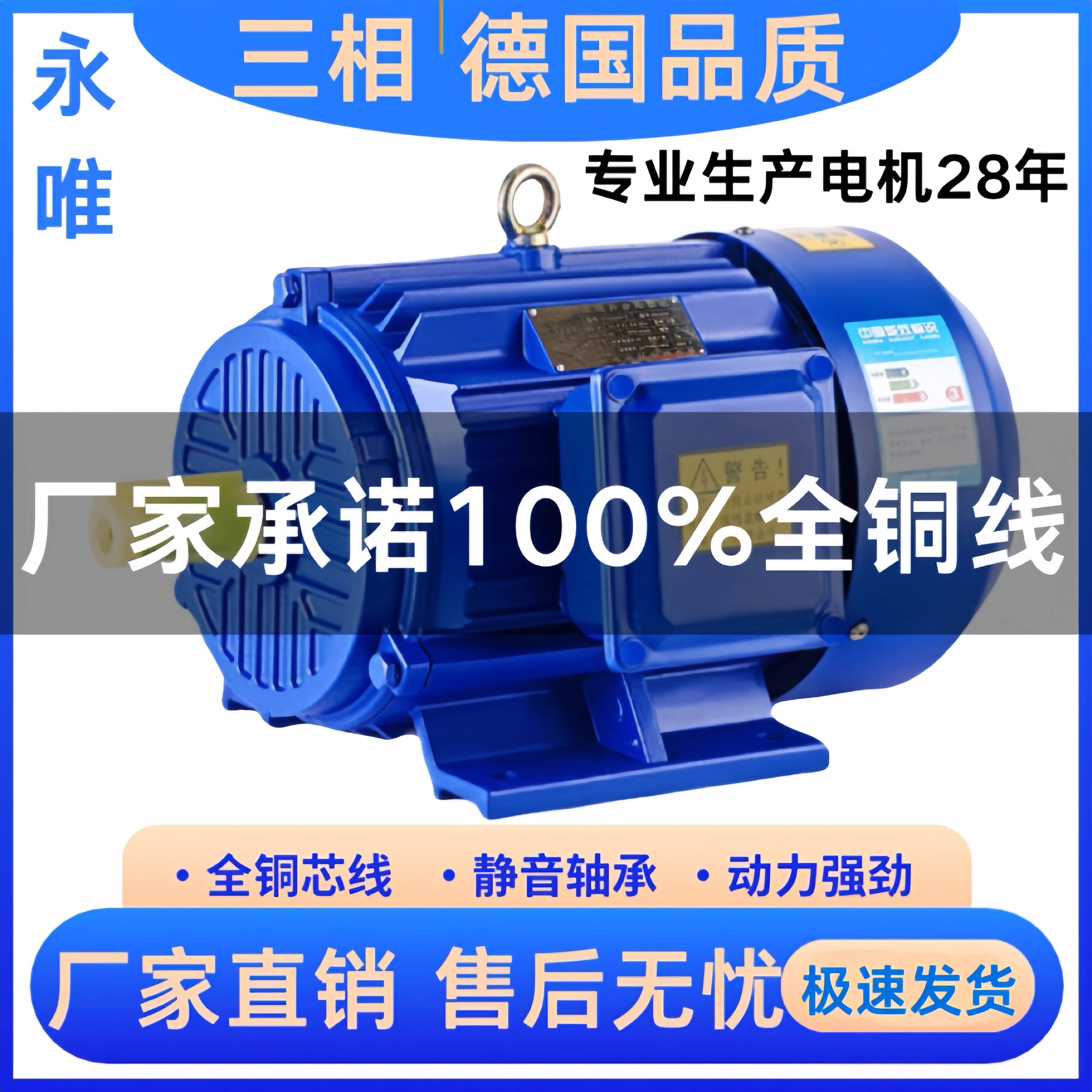 需定制三相异步电机380v0.55-500kw2级4级6级8级全铜电机卧式立式