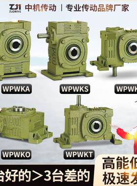 需定制WPWKA/WPWKS/WPWKV/WPWKO/WPWKT 蜗轮蜗杆减速机变速齿轮箱