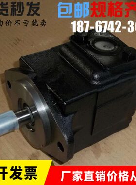 BNR80尼逊注塑铸T ON机0S10叶片泵02560油泵 C6丹 DE-I1BCR0-0-1T