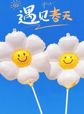 新款ins 太阳花白色小雏菊花朵气球生日派对野餐聚装饰氛围花朵球