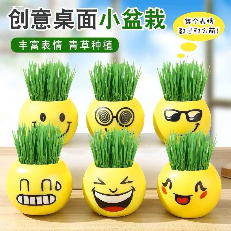 室内小盆栽绿植物带种子小草迷你负离子桌面mini可爱水培学生礼物