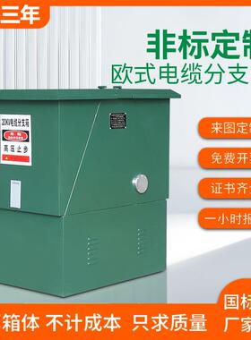 高压分支箱10KV欧式电缆分支箱DFW-12630A户外防雨一进二三四五出