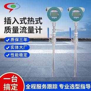 插入式热式气体质量流量计不锈钢天然气氯气氧气氮气氩气大流量