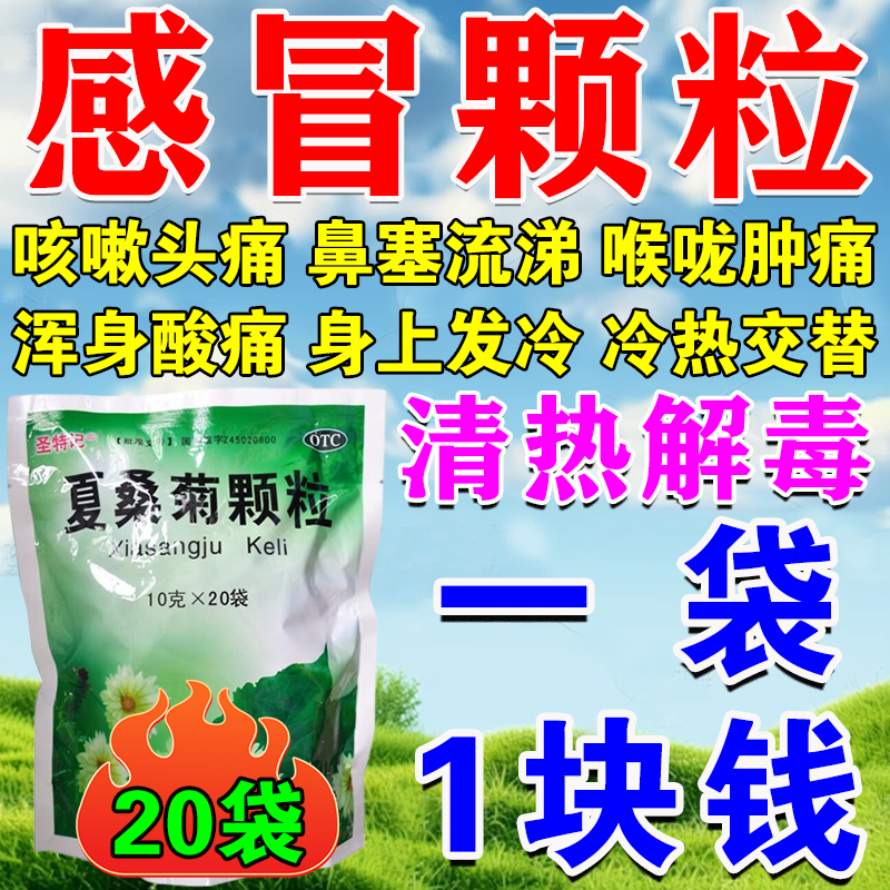 夏桑菊颗粒感冒药流鼻涕鼻塞咳嗽成人咽喉肿痛喉咙发炎预防感冒药