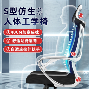 人体工学椅电脑椅家用室电竞椅学生转椅靠背座椅舒适久坐办公椅子