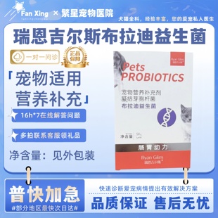 瑞恩吉尔斯布拉迪益生菌50g宠物适用宠物营养补充剂肠胃动力