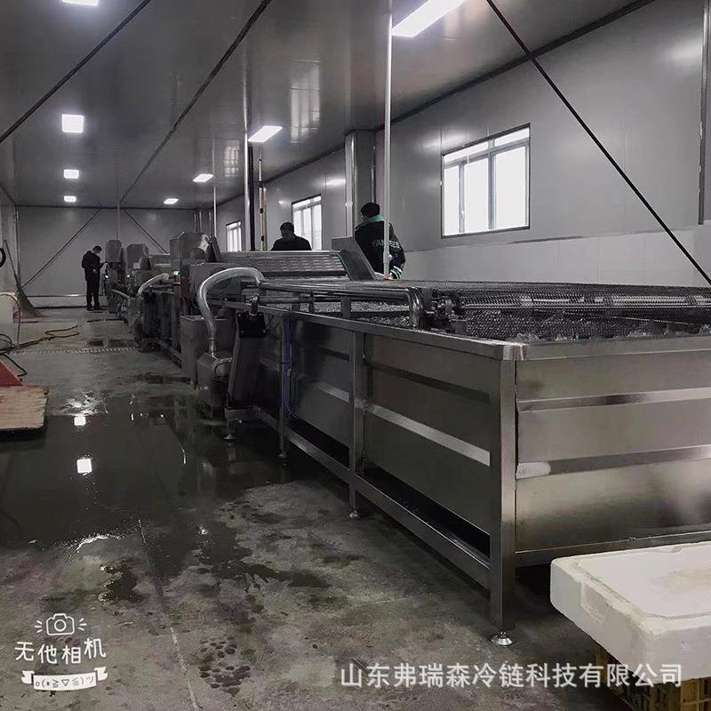 流态化水果速冻机石榴籽蓝莓流态化速冻机黄花菜苹果片速冻设备