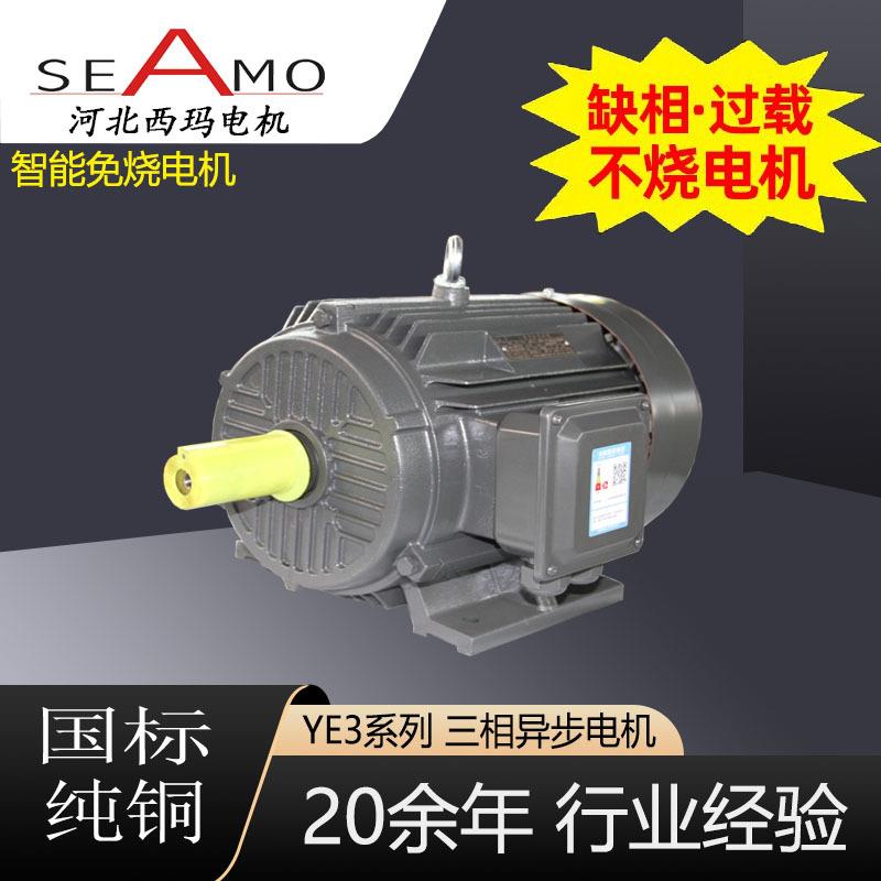 电机定制生产YE3-2极3-355w380V高效三相异步电动机