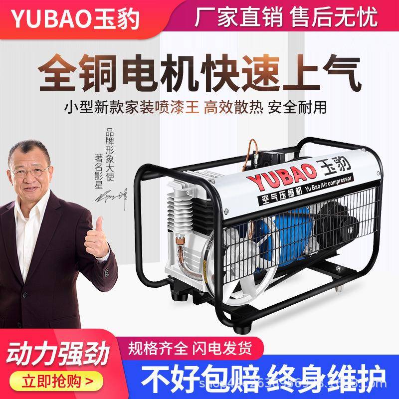 有油空压机皮带式压缩机家装喷漆王充气泵高压木工220V喷漆王打气