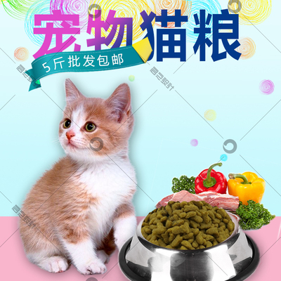 3斤装 自家牛肉末三文鱼折耳蓝猫英短美短成猫幼猫粮(不吃包退)