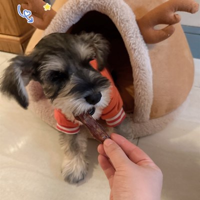 狗狗磨牙棒烘干牛尾骨小狗磨牙骨头狗磨牙棒子狗狗磨牙零食牛尾骨