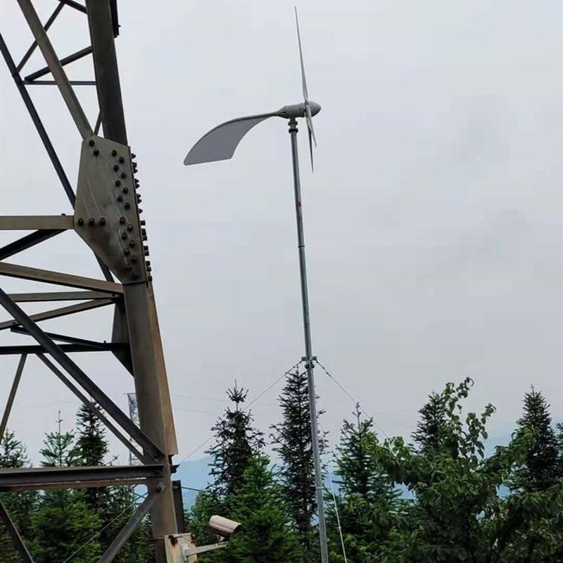 厂家直供小型家用风力发电机1000W24v48v风电