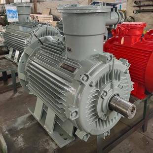 30W河南南洋防爆电动机 6矿用隔爆型三相异步电机 YB3 225M